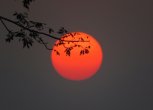 Можно ли заменить ночной сон дневным?