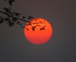 Можно ли заменить ночной сон дневным?